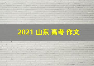 2021 山东 高考 作文